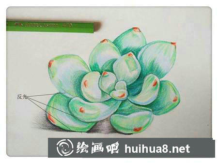 彩鉛畫教程