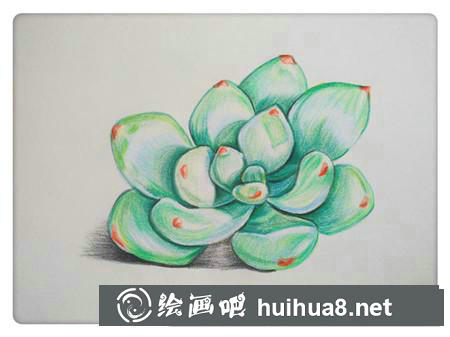 彩鉛畫教程