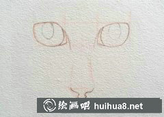 教你輕松畫(huà)貓咪眼睛