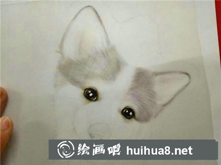 彩鉛畫教程
