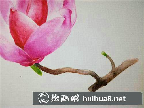 二喬玉蘭水彩畫