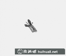 畫出逼真蝦的技巧