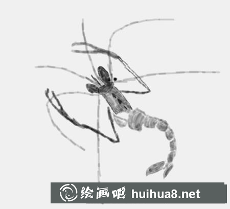 簡(jiǎn)筆畫教程