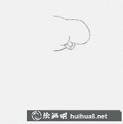 教您繪制行走的烏龜教程