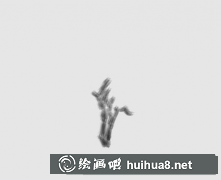 國畫枇杷繪制技巧