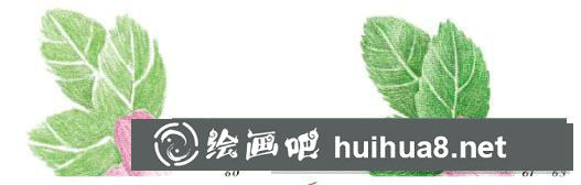怎么畫犬薔薇