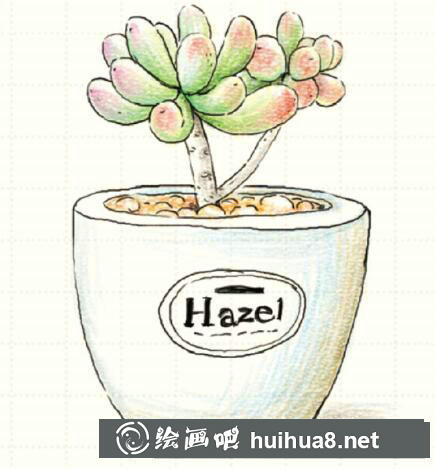 多肉彩鉛