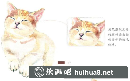 怎么畫(huà)喵星人