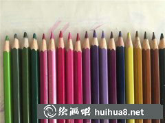犬齒赤蓮彩鉛畫教學(xué)步驟
