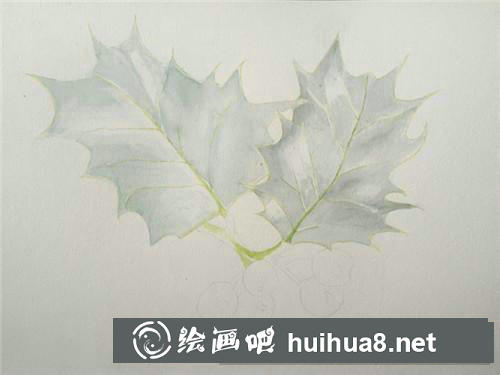 翠綠冬青水彩畫(huà)
