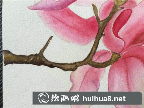 雙玉蘭水彩畫