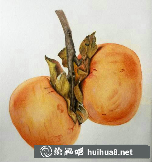 兩顆柿子彩鉛畫