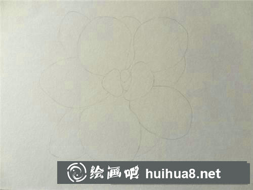 多肉桃蛋彩鉛畫