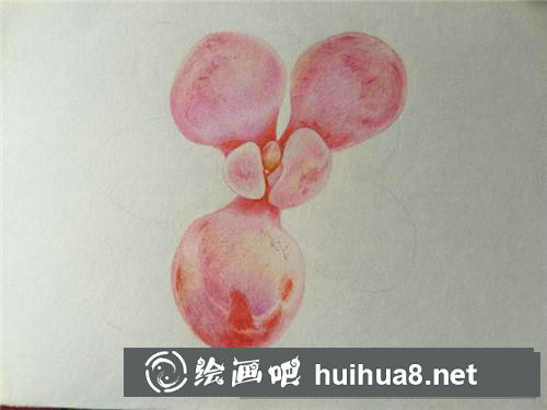 多肉桃蛋彩鉛畫