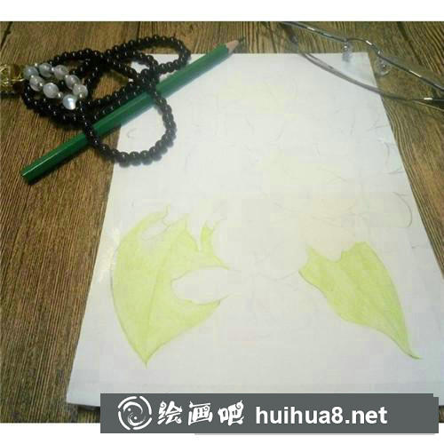 三月花彩鉛畫