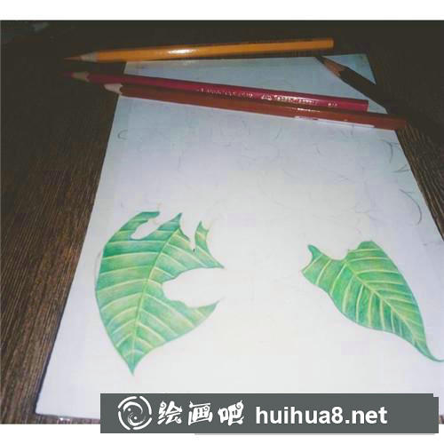 三月花彩鉛畫