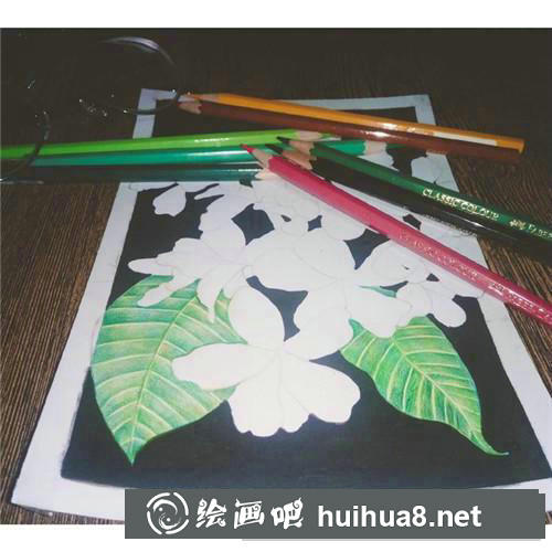 三月花彩鉛畫