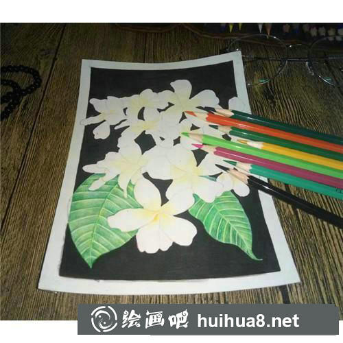 三月花彩鉛畫