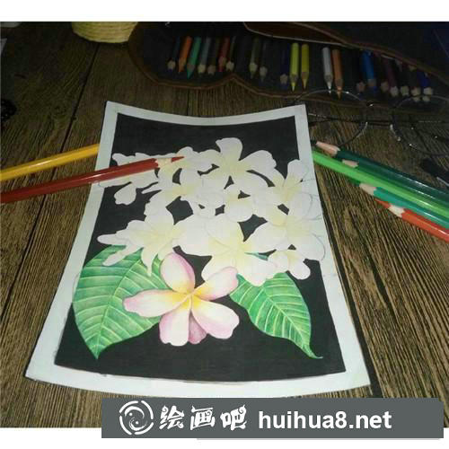 三月花彩鉛畫