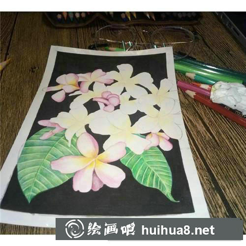 三月花彩鉛畫