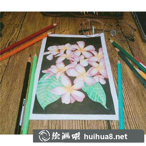 三月花彩鉛畫