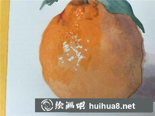 丑橘彩鉛畫