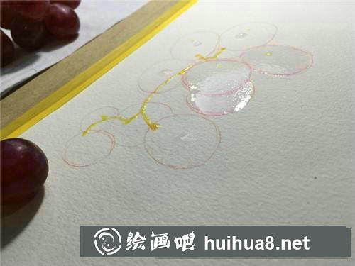 葡萄水彩畫(huà)
