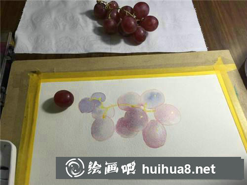 葡萄水彩畫(huà)
