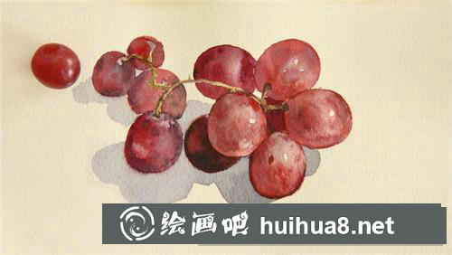 葡萄水彩畫(huà)