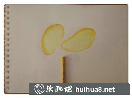 彩鉛畫教程