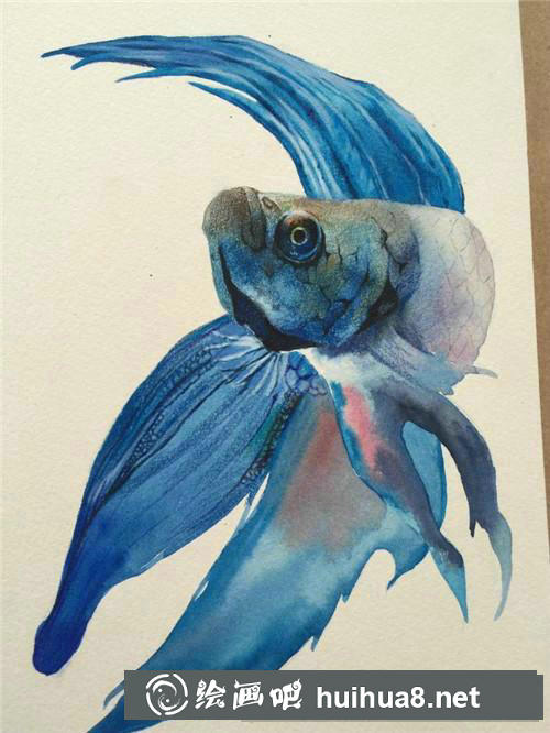 藍色魚兒水彩畫