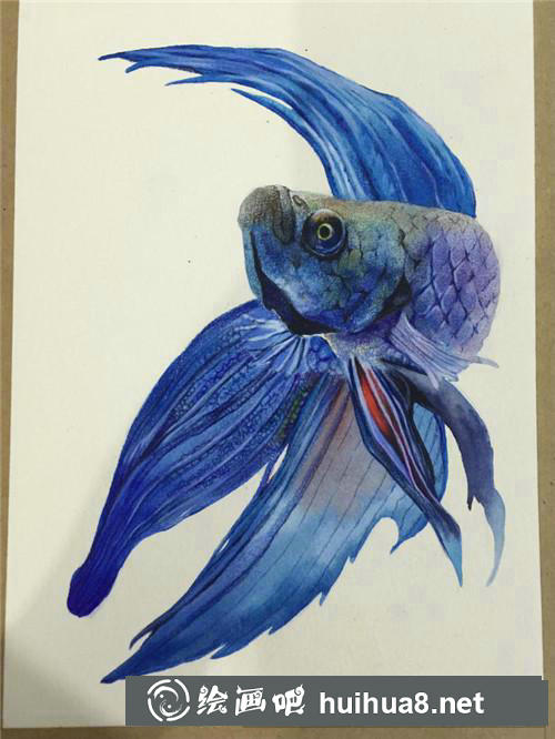 藍色魚兒水彩畫