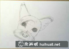 小約克夏水彩畫教程詳解