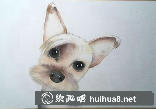 小約克夏水彩畫