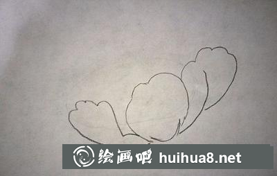 牡丹花的畫法