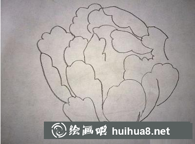 牡丹花的畫法