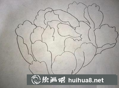牡丹花的畫法