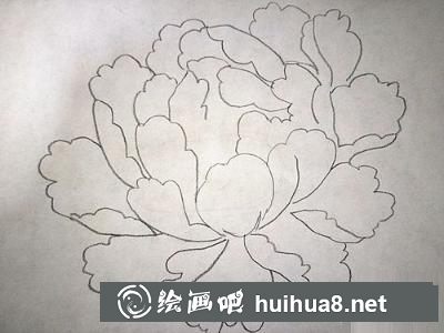 牡丹花的畫法