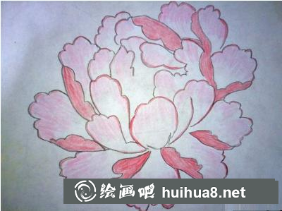 牡丹花的畫法