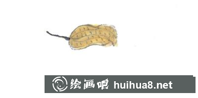 花生的畫(huà)法