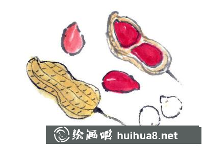 花生的畫(huà)法