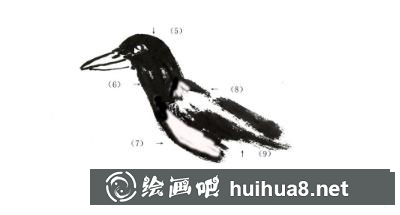 喜鵲的畫法