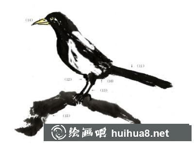 喜鵲的畫法