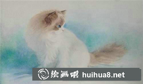 布偶貓水彩畫