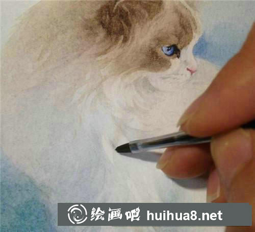 布偶貓水彩畫
