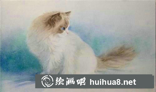 布偶貓水彩畫