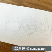 水彩教程快手玫瑰繪法