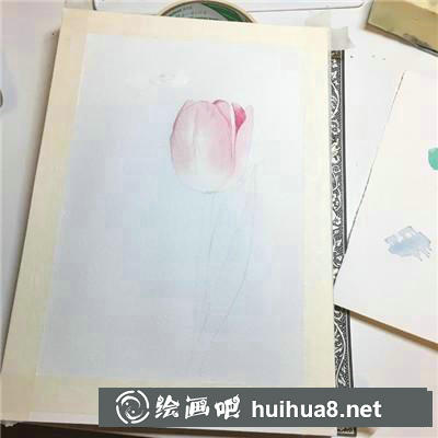 郁金香水彩 郁金香水彩