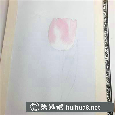 郁金香水彩 郁金香水彩