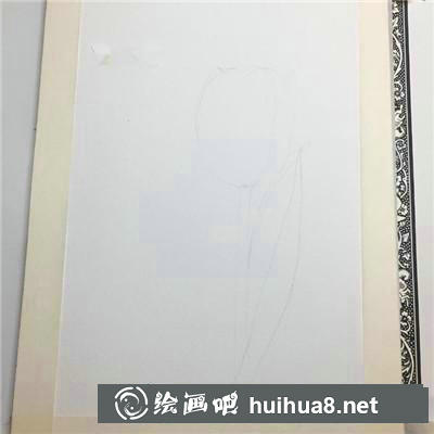 郁金香水彩 郁金香水彩